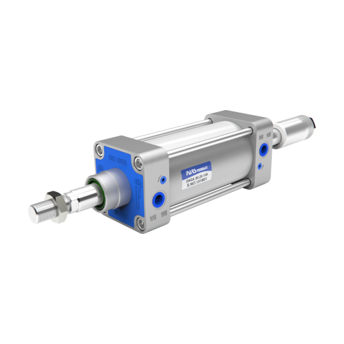 DNGA-80