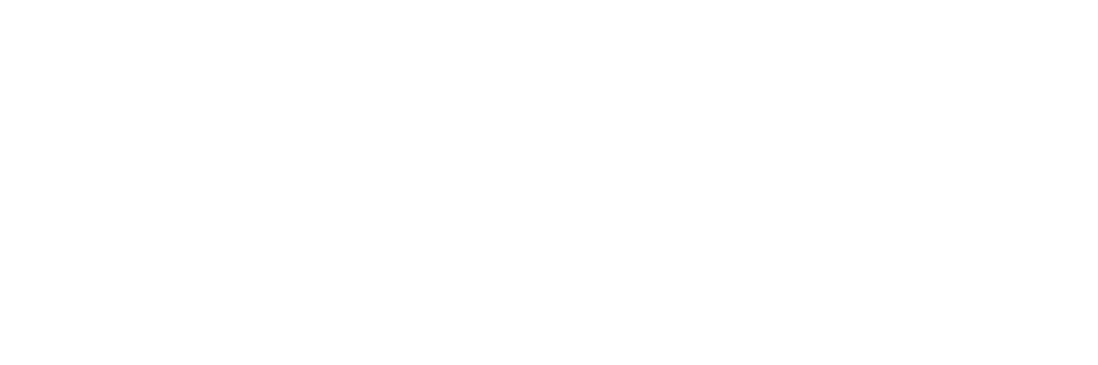logo WHITE